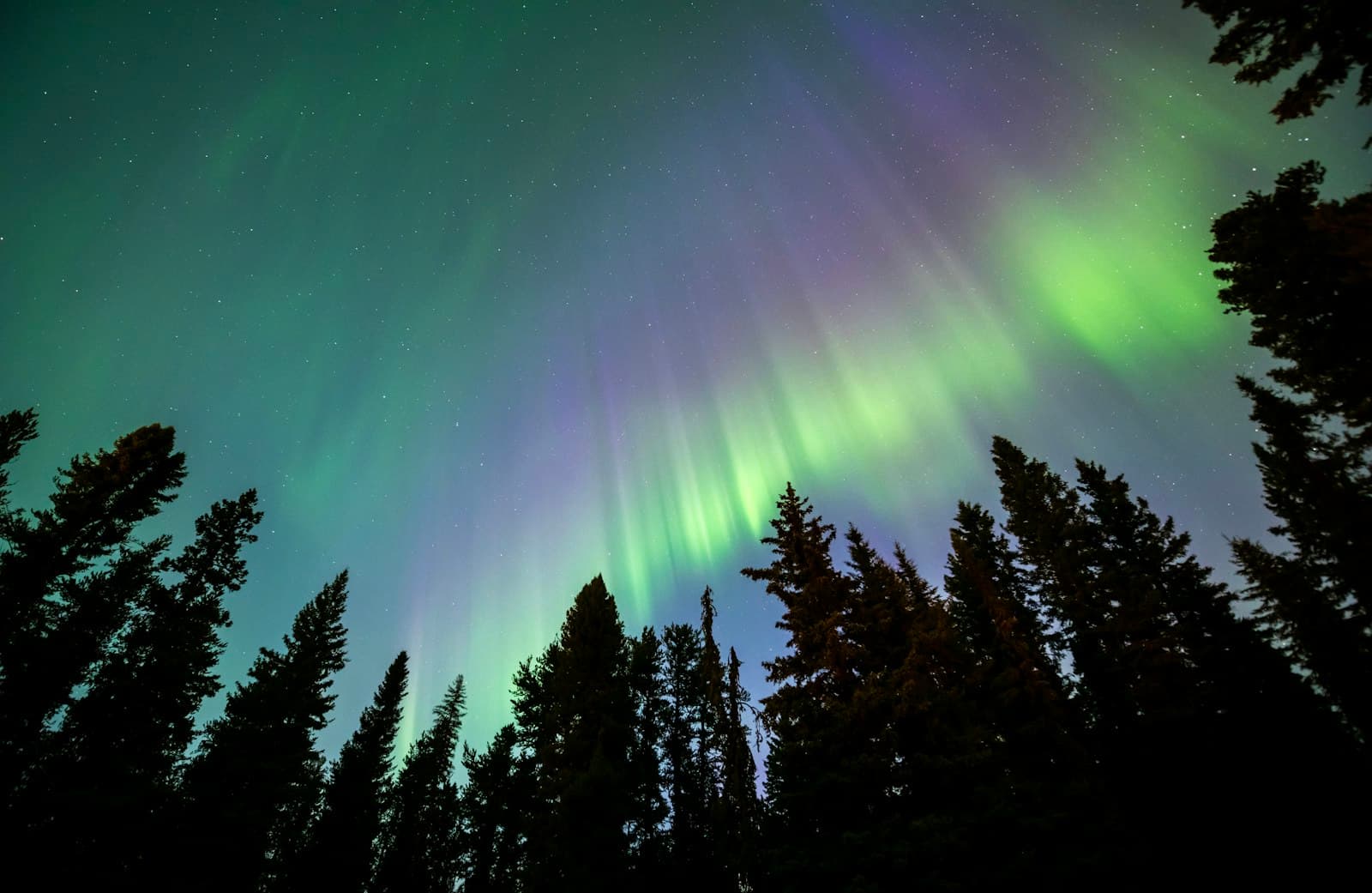 A lone figure watching green aurora arc over a frozen northern lake
